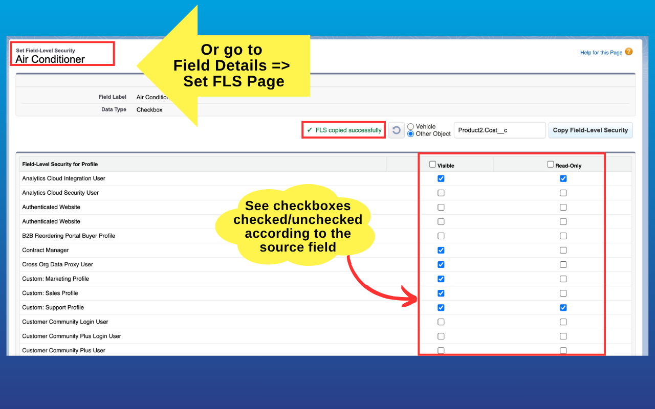 A field's Set Field-Level Security page with FLS copied successfully — Visible and Read-Only checkboxes matching the source field
